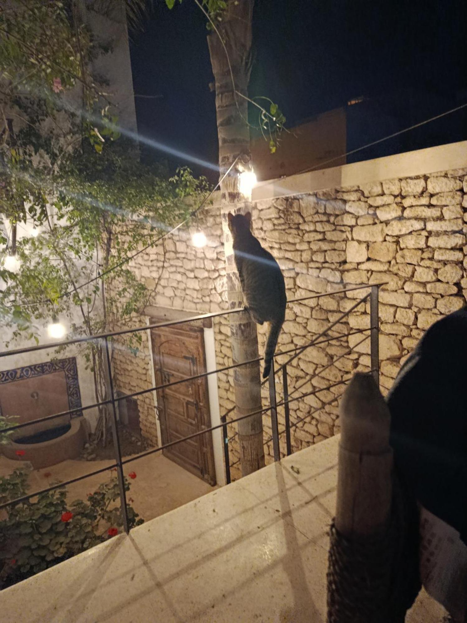 Tigmi Anis Bed & Breakfast Essaouira Exterior photo